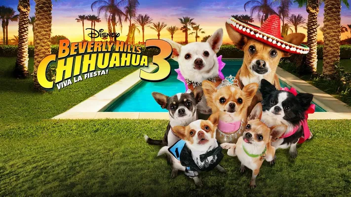 Những Chú Chó Chihuahua 3 Những Chú Chó Chihuahua 3